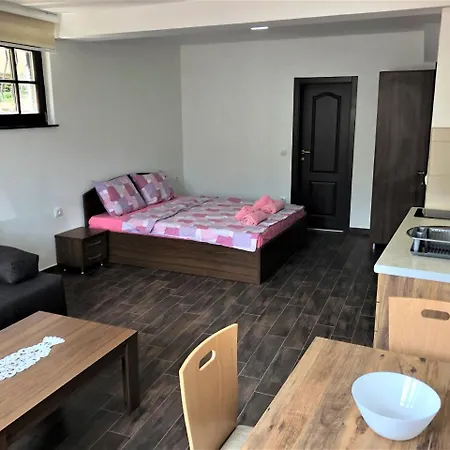 Villa Helena Οχρίδα Εξωτερικό φωτογραφία